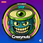 Step cover