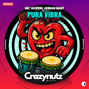 Pura Vibra cover