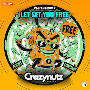Let Set You Free (Radio Edit) cover